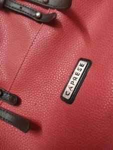 A pre loved bag from Caprese Giselle
