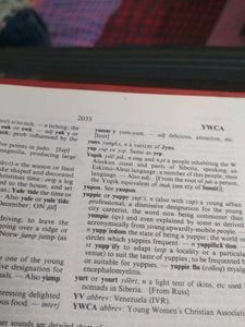 the chambers dictionary