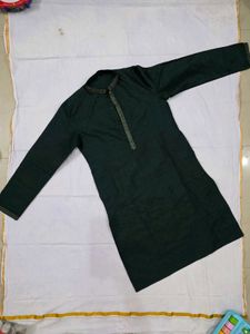 Men's Green Embroidered Kurta