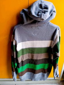 ✈️Imported L.Brador Branded Unisex Hoodie