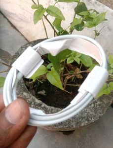 White USB C Charging Cable