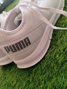 Puma White Sneakers