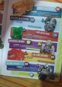 Ripley's Believe It Or Not Book