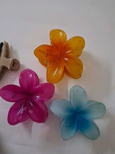 Set of 5 Flower Hair Clips
