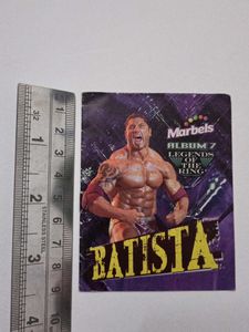 Marbels WWE Album No 7