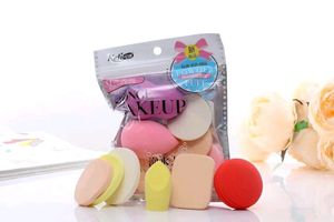 12 Pc Blender N Puff Set