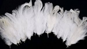 1 Packet of White Multi-Purpose Craft Feathers