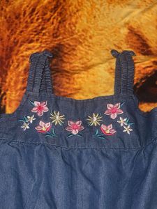 Cute Denim top with Floral Embroidery