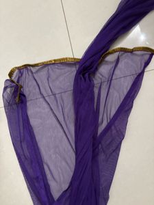 Purple Net Dupatta with Gold Border