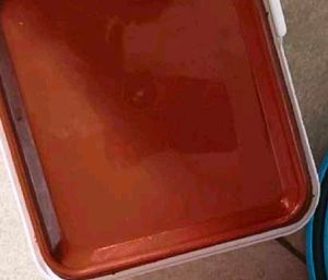 6 Lunch Box &amp; Water Bottle Set