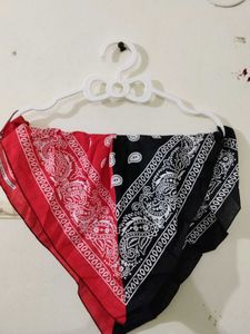 Red and Black Paisley Bandana