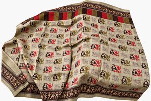 Unique Tribal Print Saree