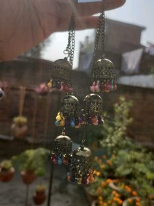 Cowrie Shell Dangle Earrings