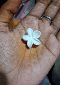 Set of 10  Flower Hair Claw Clips