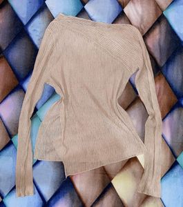 Sheer Ribbed Long Sleeve Top
