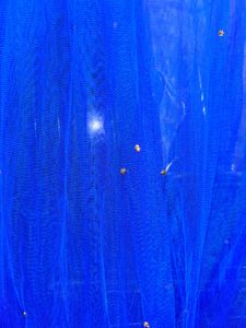 Royal Blue Net Dupatta with Embellishments