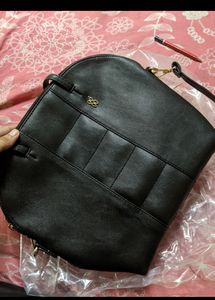 Baggit Bag