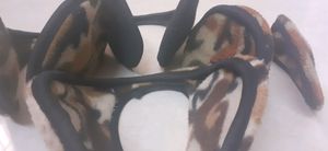 3 Tiger print Ear cuff for winter