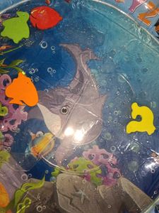 Inflatable Ocean Play Mat