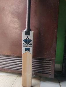 The Best Cricket Bat
