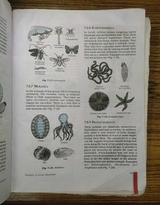 Science NCERT Textbook for Class IX (Old Edition)