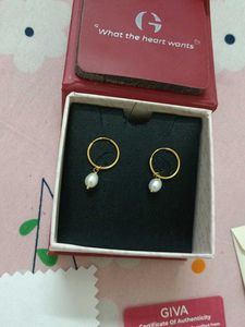 Golden Pearl Drop Hoop Earrings