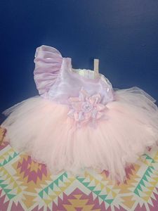 Baby Girl Pink Tulle Dress