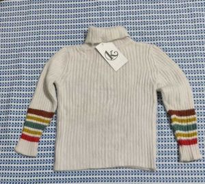 Striped Sleeve Turtleneck Sweater