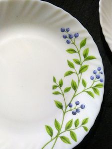 A White Beautiful Lush Green Print Glass Plates