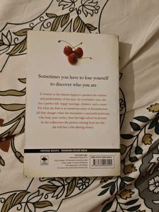 Paulo Coelho Adultery Book
