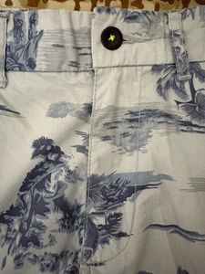 Men's Tropical Print Shorts