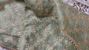 (new)Elegant Green Embellished Dupatta