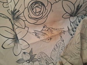 Bedsheet With Freebie