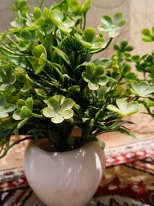 Set of 2 Artificial Green Plants