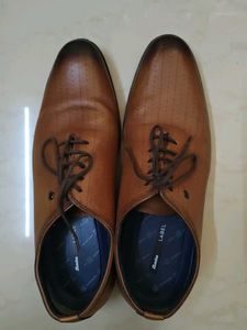 Stylish Brown Perforated Oxford Shoes