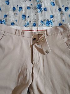 Men's Beige Dress Pants