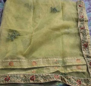 New Embroidered lime green Net Dupatta