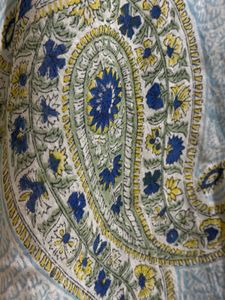 Beautiful Paisley Print Kurta