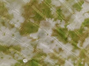 two layer transparent shirt style