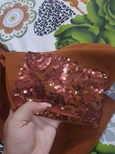 Sparkling Brown Saree &amp; matching blouse