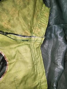 Designer Green Embellished Saree