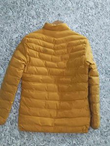 Adidas Padded Jacket - Mustard