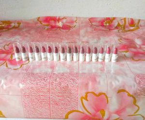 Just Herbs Lipstick Micro-Mini Kit