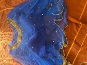 Blue Net Blouse with Embellishments