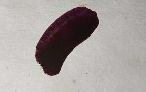 Zudio Nail Polish - mulled wine 05