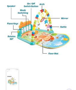 2 in 1 Baby Play Gym Mat