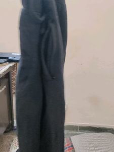 Night Pant