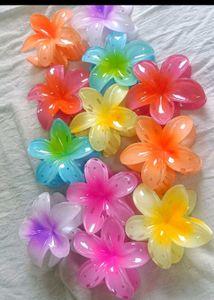 ⭕️Set Of 12! Trendy Hibiscus Claw Clips