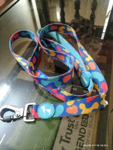 Free - Colorful Dog Leash