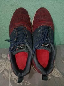 Campus Sports Shoes